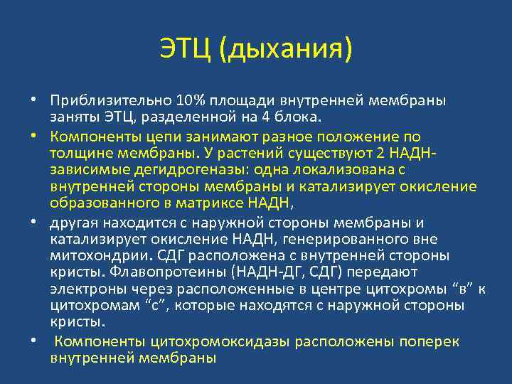 ЭТЦ (дыхания) • Приблизительно 10% площади внутренней мембраны заняты ЭТЦ, разделенной на 4 блока.