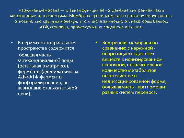 Наружная мембрана — главная функция ее - отделение внутренней части митохондрии от цитоплазмы. Мембрана