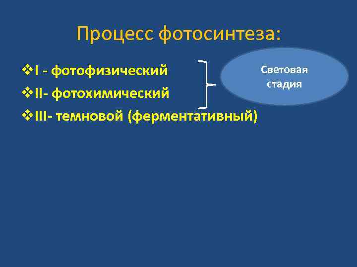 Процесс фотосинтеза: Световая v. I - фотофизический стадия v. II- фотохимический v. III- темновой
