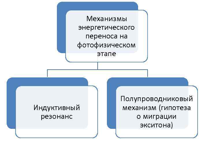 Механизмы энергетического переноса на фотофизическом этапе Индуктивный резонанс Полупроводниковый механизм (гипотеза о миграции экситона)