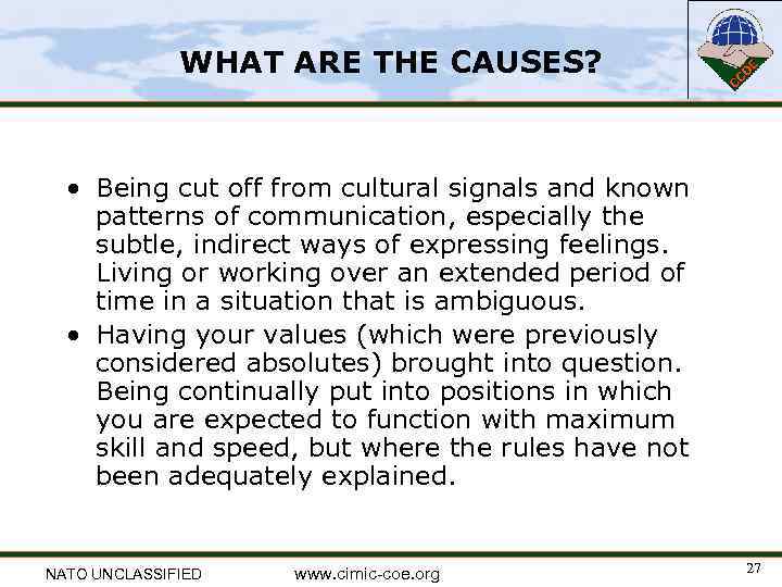 WHAT ARE THE CAUSES? • Being cut off from cultural signals and known patterns