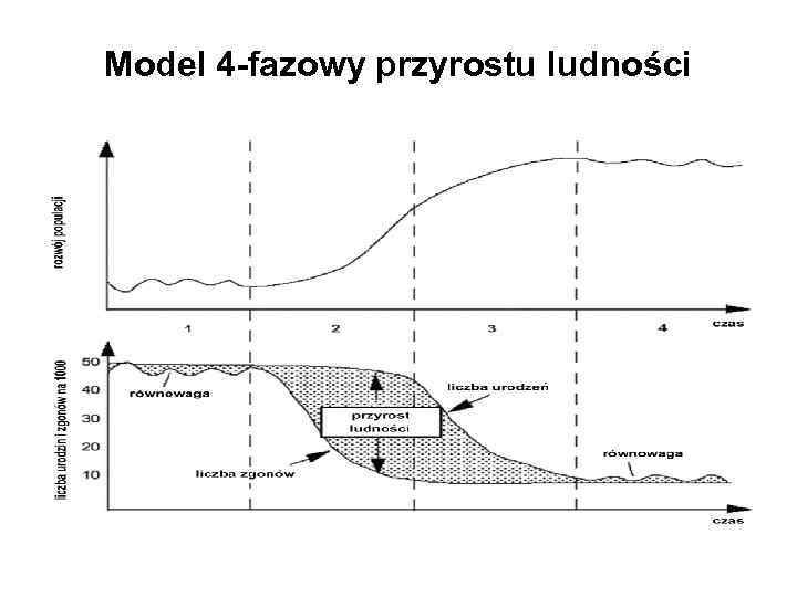 Model 4 -fazowy przyrostu ludności 