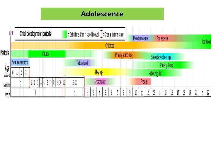 Adolescence 