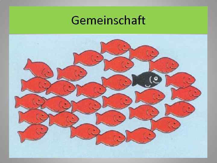 Gemeinschaft 