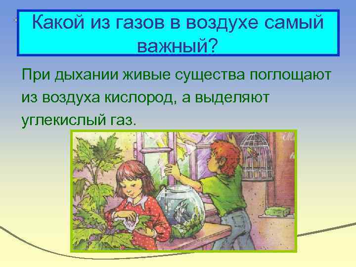 Какой из газов в воздухе самый важный? При дыхании живые существа поглощают из воздуха