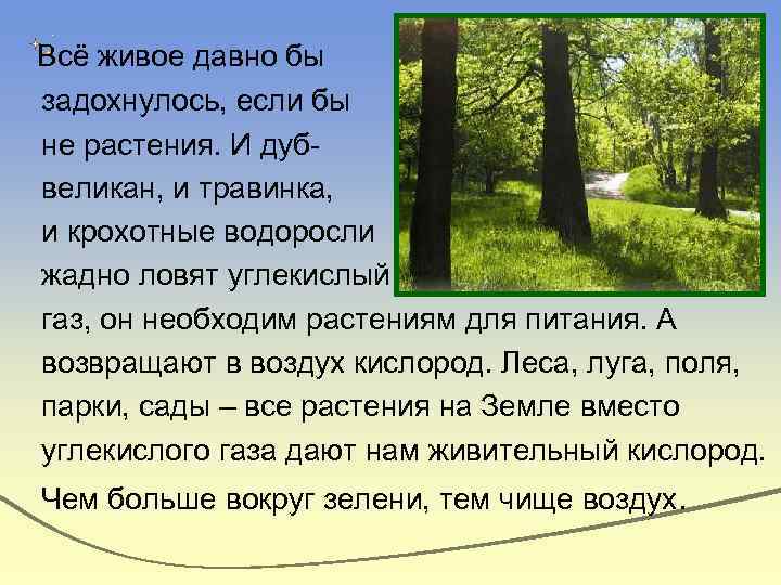 Всё живое давно бы задохнулось, если бы не растения. И дубвеликан, и травинка, и