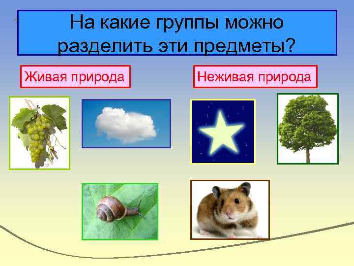 На какие группы можно разделить эти предметы? Живая природа Неживая природа 