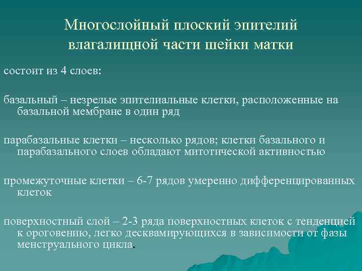 Многослойный плоский эпителий влагалищной части шейки матки состоит из 4 слоев: базальный – незрелые