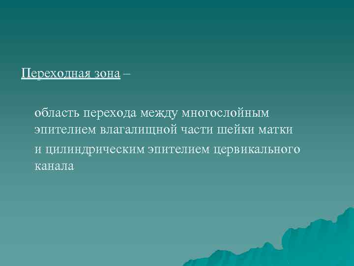 Переходная зона – область перехода между многослойным эпителием влагалищной части шейки матки и цилиндрическим