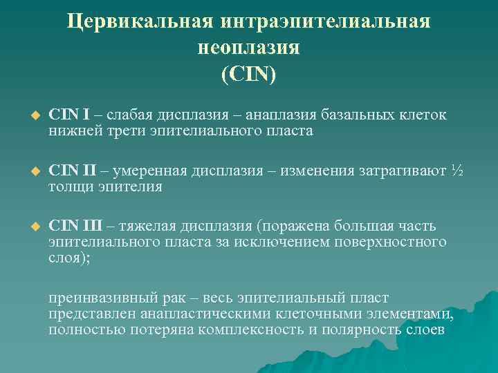 Цервикальная интраэпителиальная неоплазия (CIN) u CIN I – слабая дисплазия – анаплазия базальных клеток