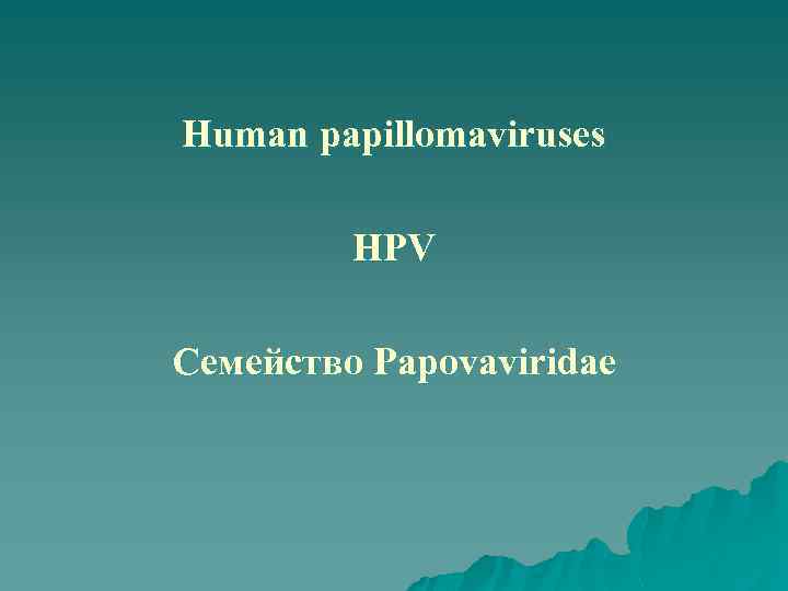 Human papillomaviruses HPV Семейство Papovaviridae 