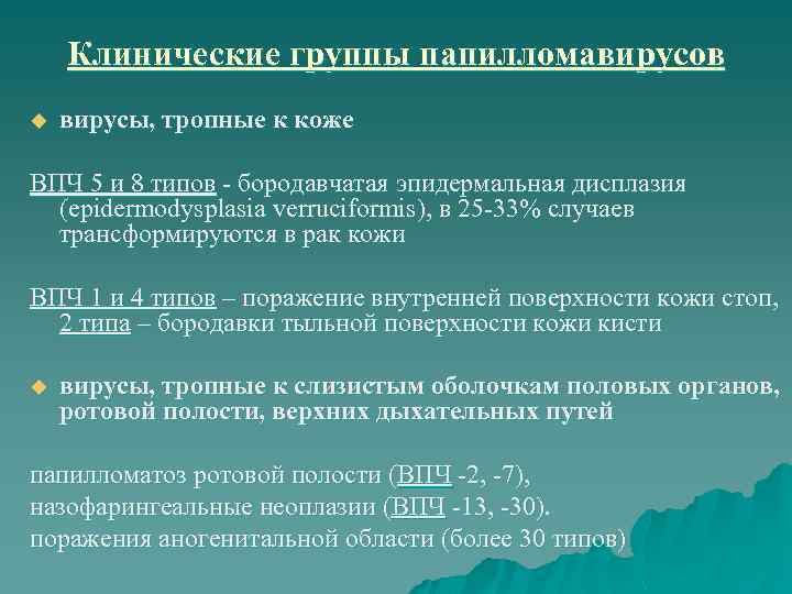 Клинические группы папилломавирусов u вирусы, тропные к коже ВПЧ 5 и 8 типов -