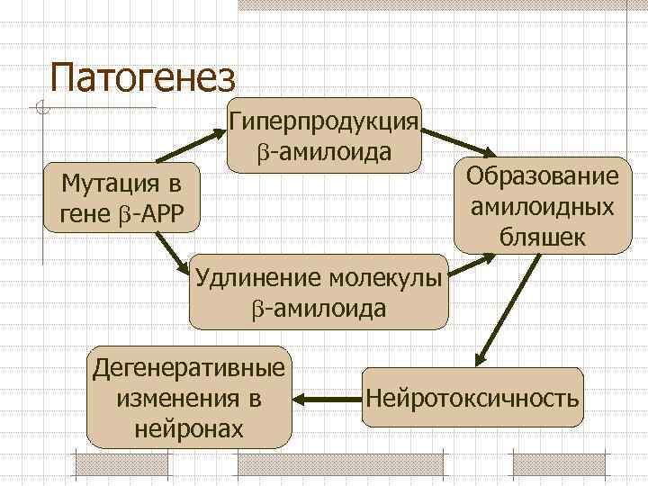 Патогенез Гиперпродукция -амилоида Мутация в гене -АРР Образование амилоидных бляшек Удлинение молекулы -амилоида Дегенеративные