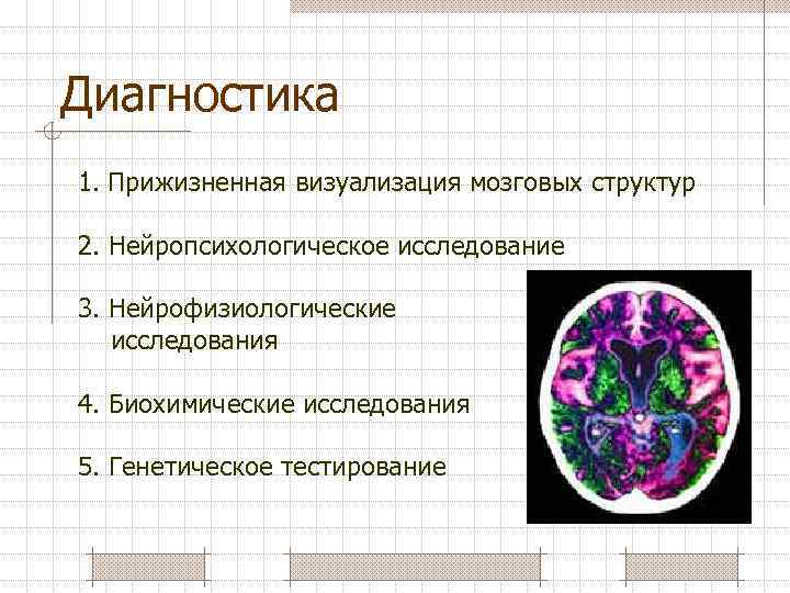 Диагностика 1. Прижизненная визуализация мозговых структур 2. Нейропсихологическое исследование 3. Нейрофизиологические исследования 4. Биохимические