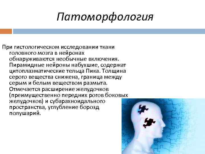 Патоморфология При гистологическом исследовании ткани головного мозга в нейронах обнаруживаются необычные включения. Пирамидные нейроны