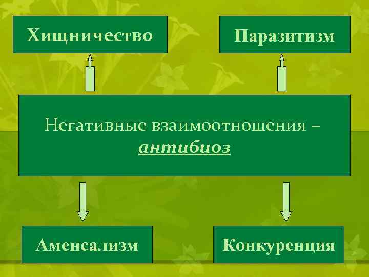 Хищничество Паразитизм Негативные взаимоотношения – антибиоз Аменсализм Конкуренция 