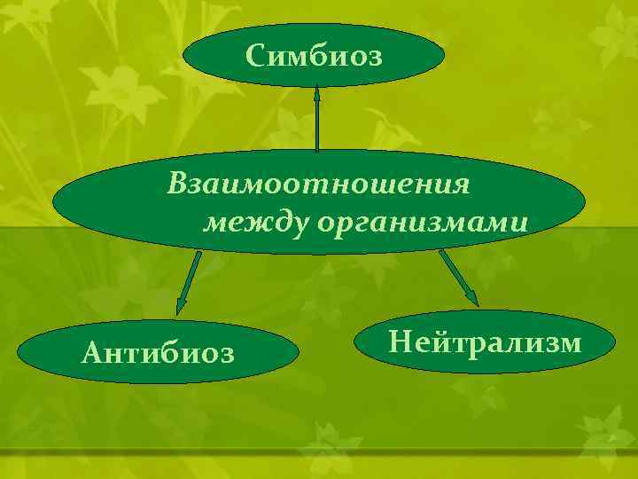 Виды симбиотических отношений. Взаимоотношения между организмами симбиоз антибиоз. Симбиоз антибиоз нейтрализм. Взаимодействие организмов симбиоз антибиоз. Таблица симбиоз антибиоз нейтрализм.