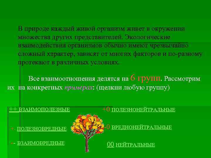В природе каждый живой организм живет в окружении множества других представителей. Экологические взаимодействия организмов