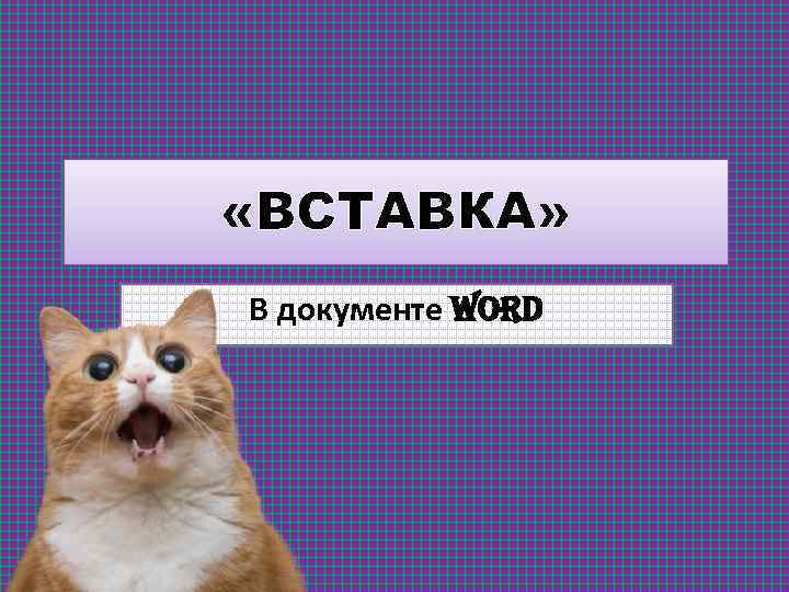  «ВСТАВКА» В документе Word 