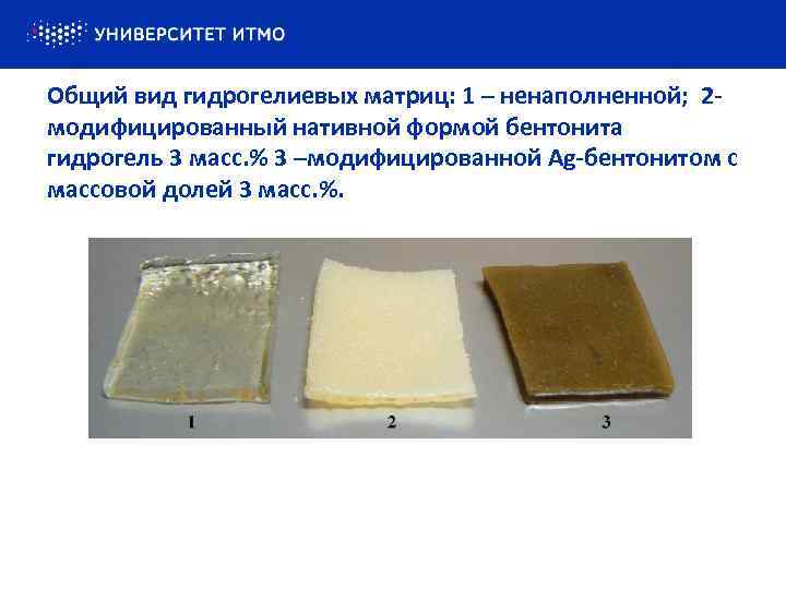 Общий вид гидрогелиевых матриц: 1 – ненаполненной; 2 модифицированный нативной формой бентонита гидрогель 3
