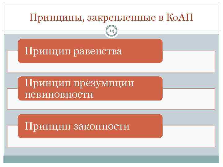 Принципы, закрепленные в Ко. АП 14 Принцип равенства Принцип презумпции невиновности Принцип законности 