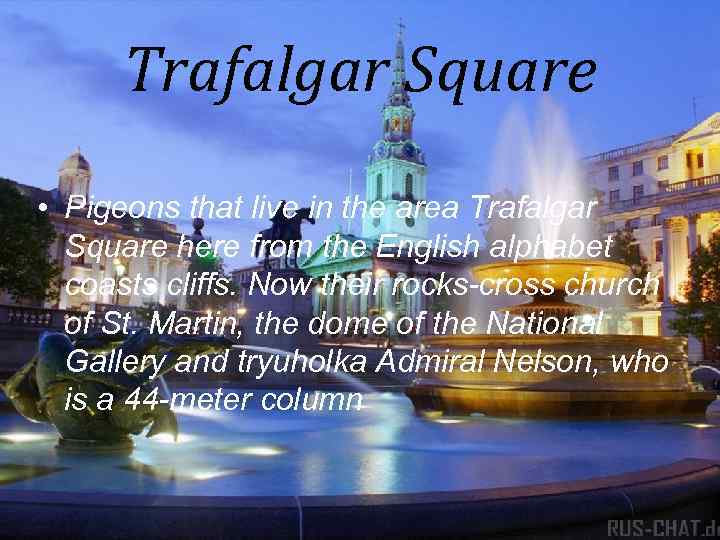 Trafalgar Square • Pigeons that live in the area Trafalgar Square here from the