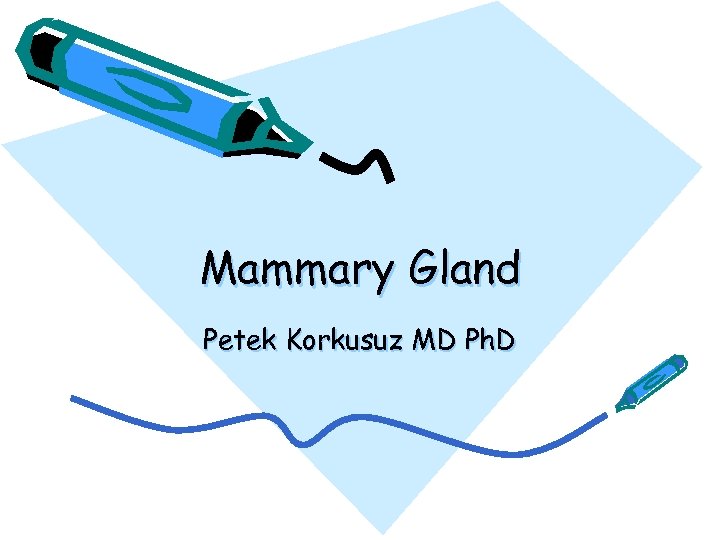 Mammary Gland Petek Korkusuz MD Ph. D 