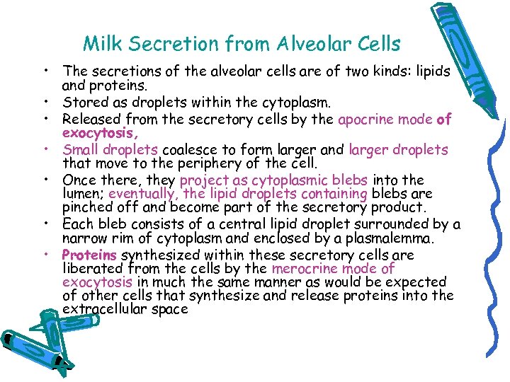 Milk Secretion from Alveolar Cells • The secretions of the alveolar cells are of