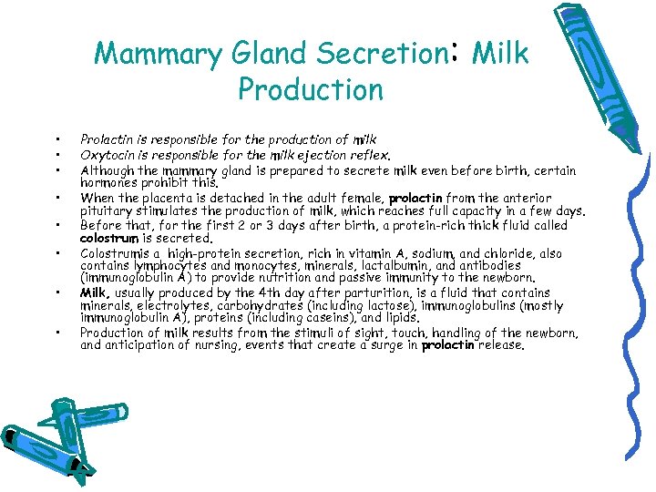 Mammary Gland Secretion: Milk Production • • Prolactin is responsible for the production of