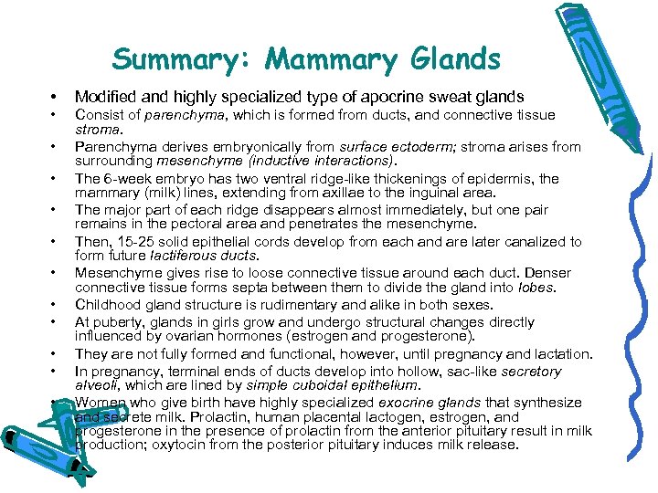 Summary: Mammary Glands • Modified and highly specialized type of apocrine sweat glands •