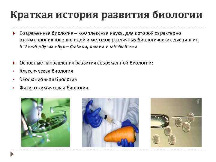 Краткая история развития биологии Современная биология – комплексная наука, для которой характерно взаимопроникновение идей