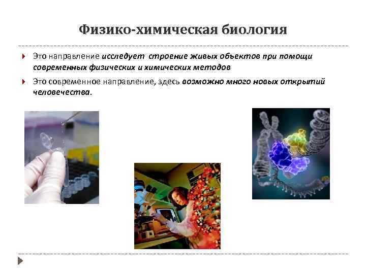 Физико-химическая биология Это направление исследует строение живых объектов при помощи современных физических и химических