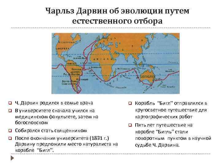 Чарльз Дарвин об эволюции путем естественного отбора q q Ч. Дарвин родился в семье