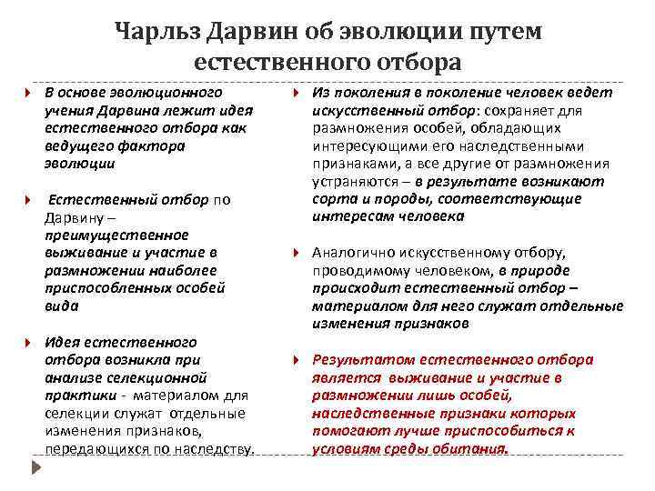 Чарльз Дарвин об эволюции путем естественного отбора В основе эволюционного учения Дарвина лежит идея