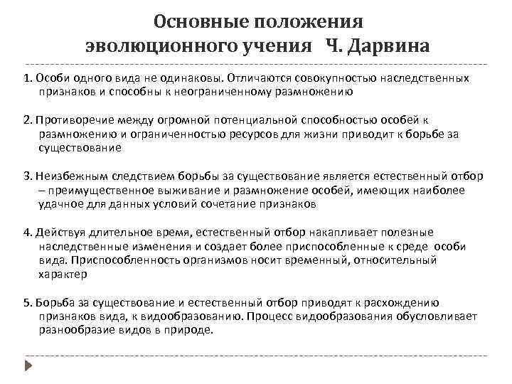 Основные положения эволюционного учения Ч. Дарвина 1. Особи одного вида не одинаковы. Отличаются совокупностью