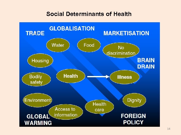 Social Determinants of Health 14 