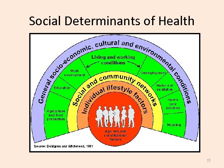 Social Determinants of Health 15 