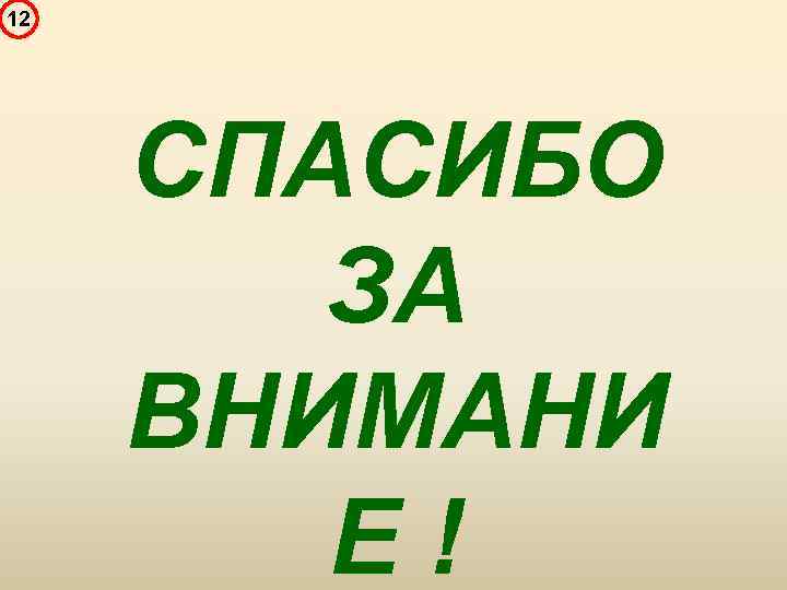 12 СПАСИБО ЗА ВНИМАНИ Е! 