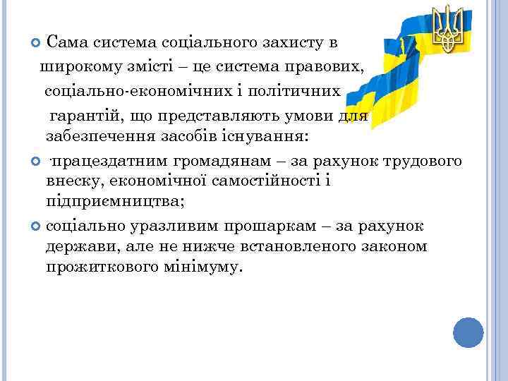 Сама система соціального захисту в широкому змісті – це система правових, соціально-економічних і політичних