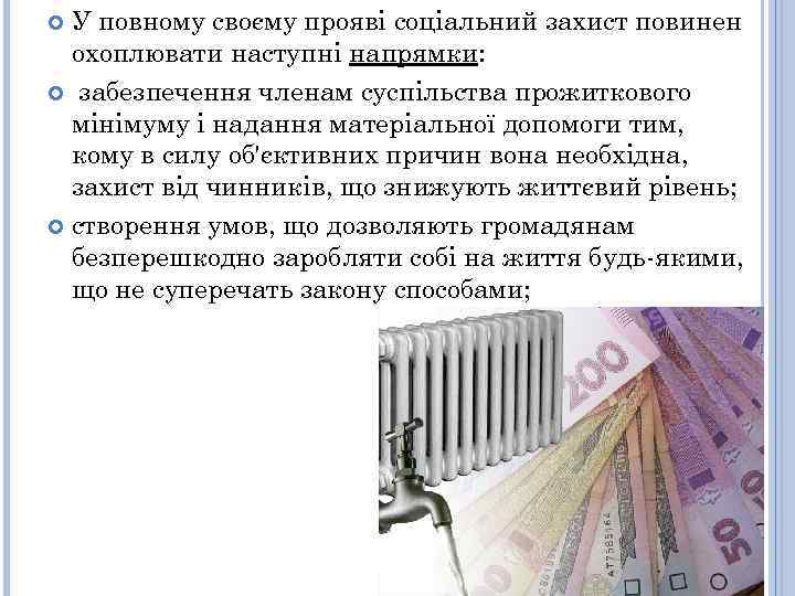 У повному своєму прояві соціальний захист повинен охоплювати наступні напрямки: забезпечення членам суспільства прожиткового
