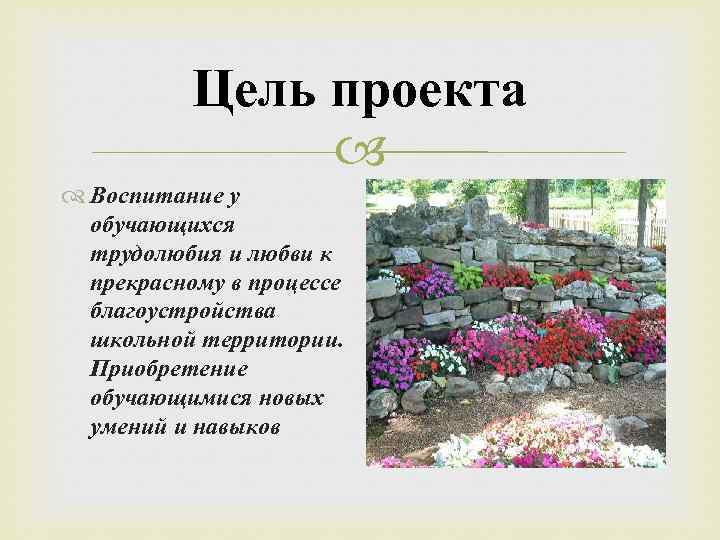 Цель проекта Воспитание у обучающихся трудолюбия и любви к прекрасному в процессе благоустройства школьной