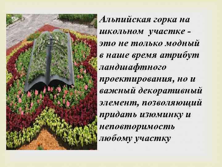 Альпийская горка на школьном участке это не только модный в наше время атрибут ландшафтного