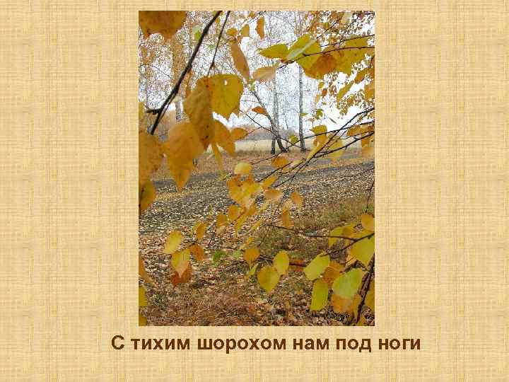 С тихим шорохом нам под ноги 