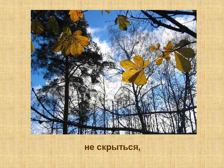 не скрыться, 