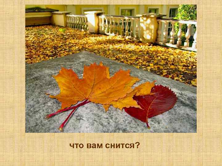 что вам снится? 