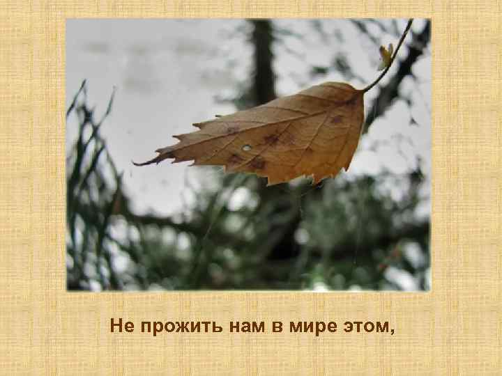 Не прожить нам в мире этом, 