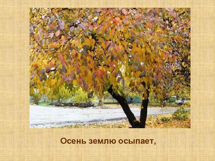 Осень землю осыпает, 