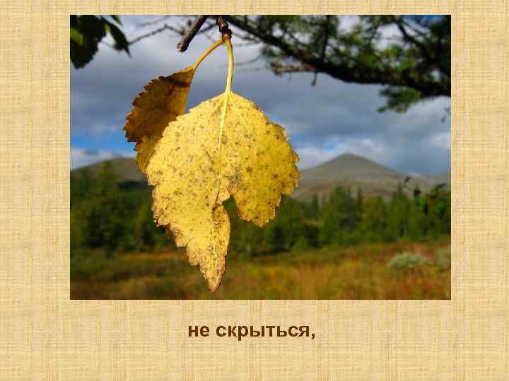 не скрыться, 