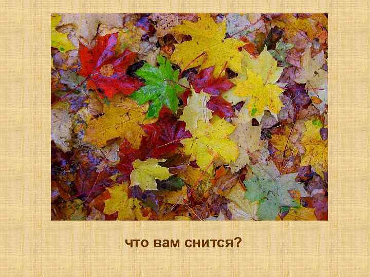 что вам снится? 