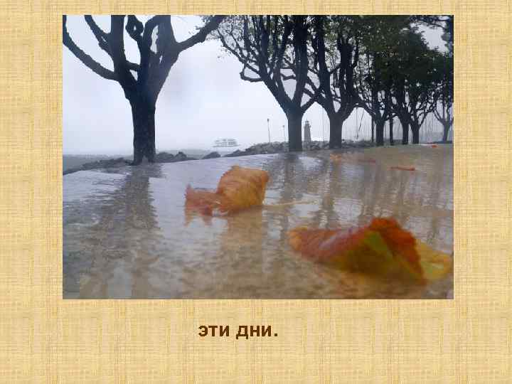эти дни. 